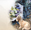 Gartenfigur Peppino: Klassische Hundeskulptur