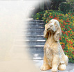 Steinfigur Oskar: Klassische Hundefiguren