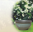 Blumentopf Terrakotta Samnia - Verde: Klassische Pflanzschale