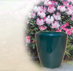 Blumentopf Terrakotta Akaste - Verde: Klassische Pflanzvasen