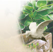 Gartenzwerg kaufen Liberta: Klassische Steinfigur