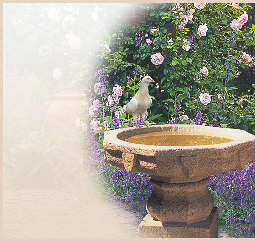 Kalif - Vogelbad aus Stein für den Garten